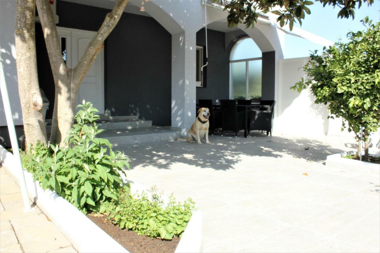 Holiday House Zaton Nin Esterno foto